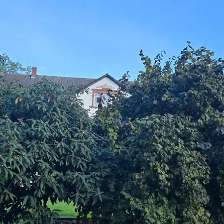 Gwuni's Farm Apartment