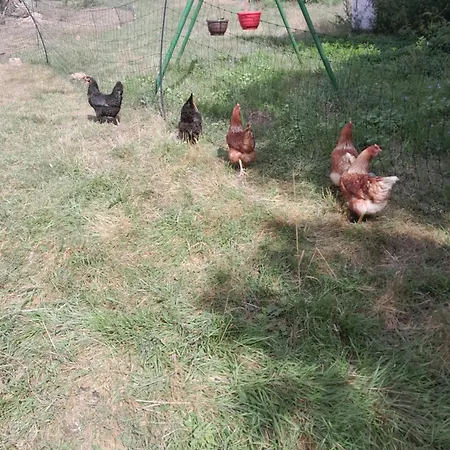 Apartman Landzeit Niedergraefenhain *