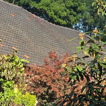 Landzeit Niedergraefenhain Apartman *