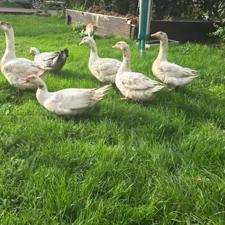 Landzeit Niedergraefenhain Apartman