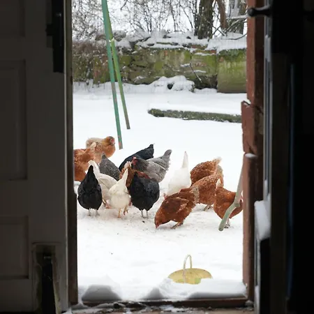 Apartman Landzeit Niedergraefenhain Geithain