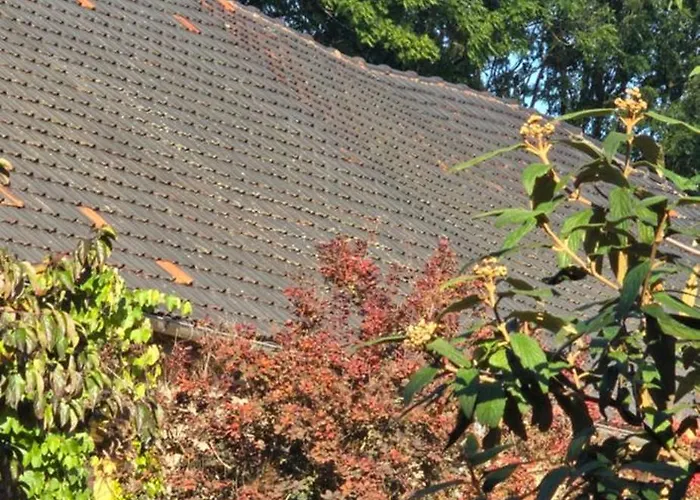 Landzeit Niedergraefenhain Apartament *