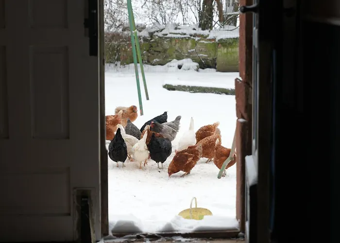 Apartament Landzeit Niedergraefenhain Geithain